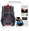 Hammer 50L Laptop Backpack with raincover